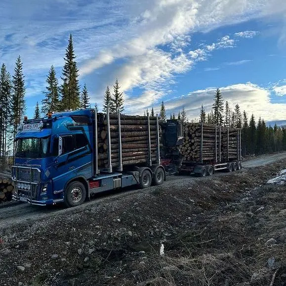 Lastbil som kör en huspanel